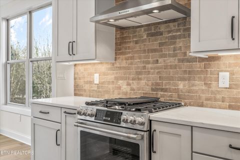 Tiny photo for 235 Walelu Tr, Vonore, TN 37885 (MLS # 1327265)