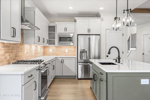 Tiny photo for 235 Walelu Tr, Vonore, TN 37885 (MLS # 1327265)