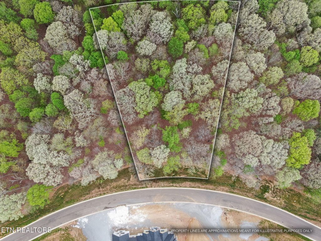 Photo of 289 Flip Flop Way, Loudon, TN 37774 (MLS # 1335618)