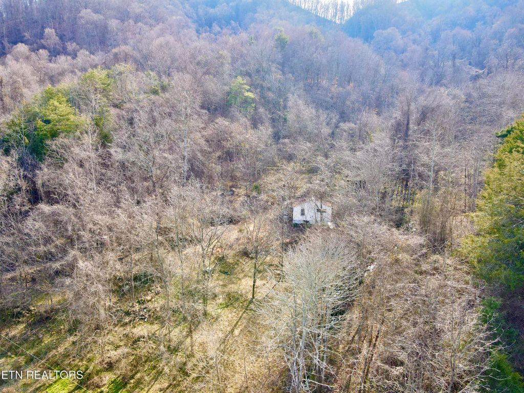 Photo of TBD Rufus Coffey Lane, Thorn Hill, TN 37881 (MLS # 1338832)