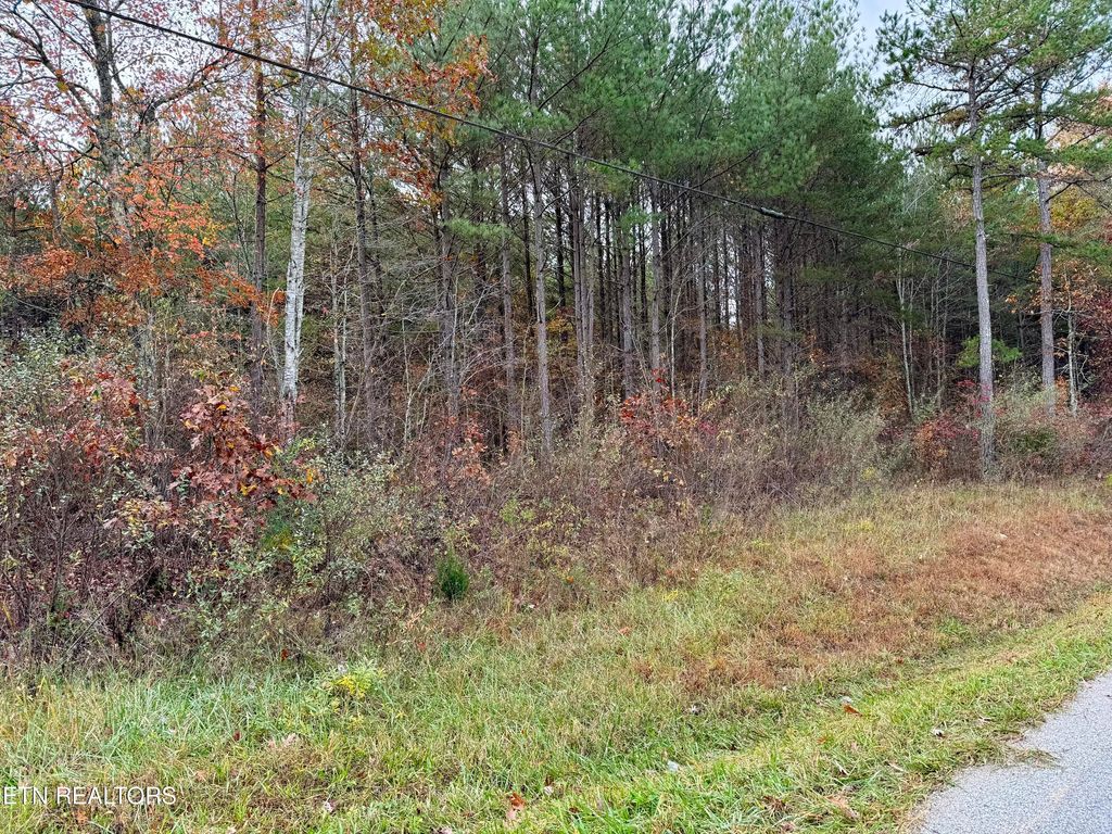 Photo of Airport Rd. Lot 7, Rockwood, TN 37854 (MLS # 1281341)