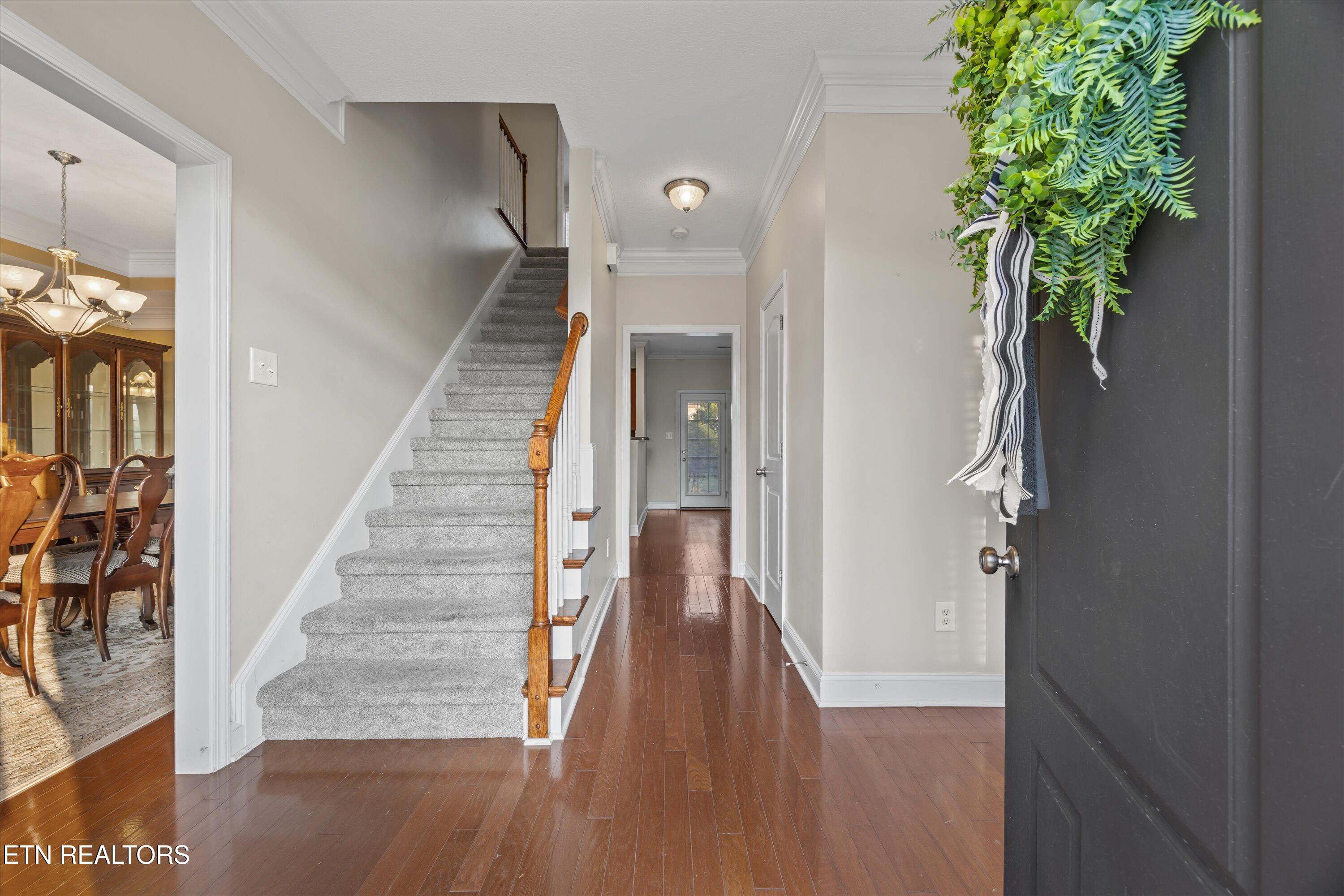 1376 Silver Leaf Drive