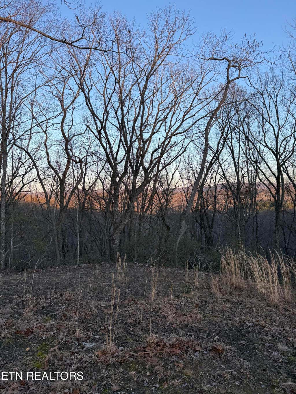 Photo of Hunter Hills Drive, Oneida, TN 37841 (MLS # 1331244)