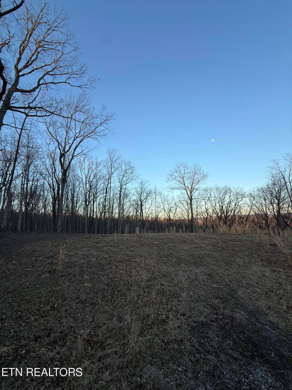 Photo of Hunter Hills Drive, Oneida, TN 37841 (MLS # 1331244)