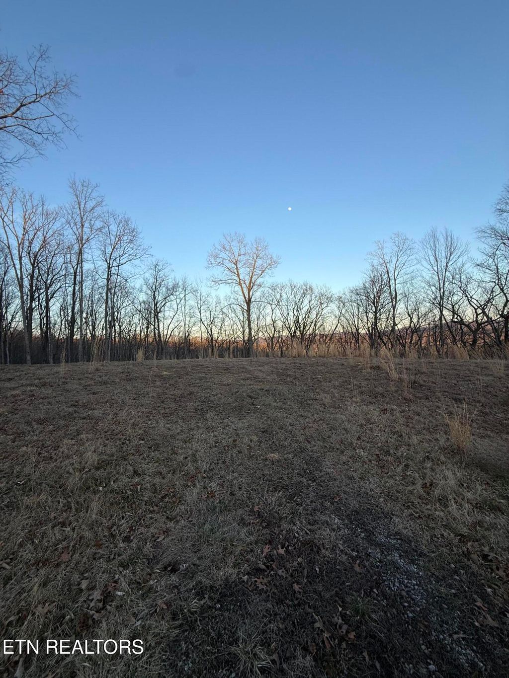 Photo of Hunter Hills Drive, Oneida, TN 37841 (MLS # 1331244)