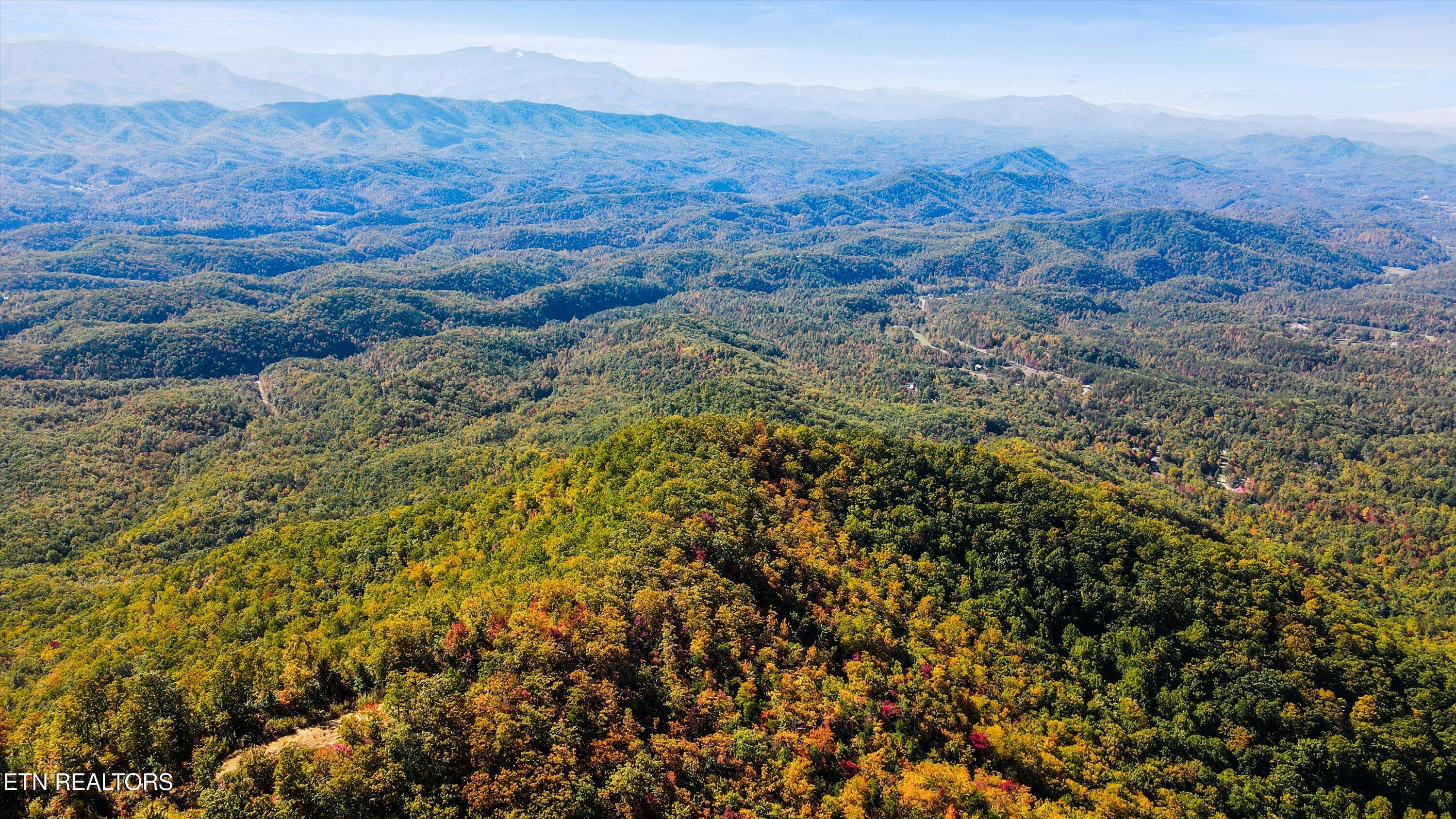 Wilhite Rd & Alpine Dr