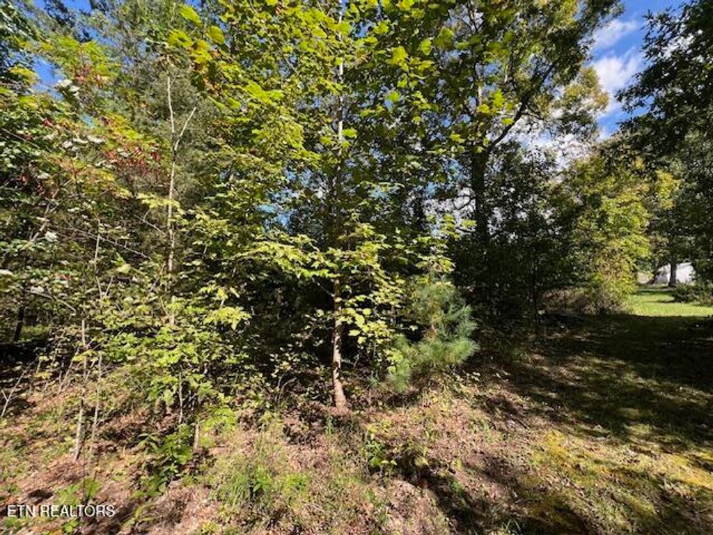 Photo of Hwy 70 N, Monterey, TN 38574 (MLS # 1317516)