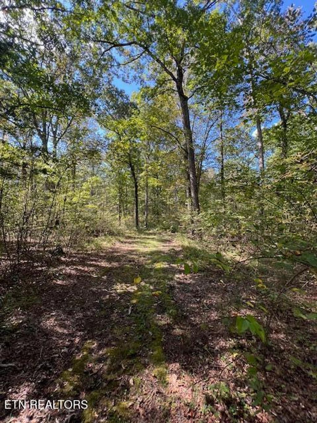 Photo of Hwy 70 N, Monterey, TN 38574 (MLS # 1317516)