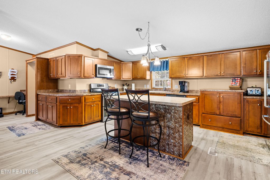 Photo of 566 Mcteer St, Greenback, TN 37742 (MLS # 1319147)