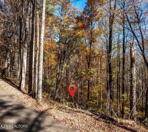 Photo of 1032 Deep Hollow Rd, Gatlinburg, TN 37738 (MLS # 1356283)
