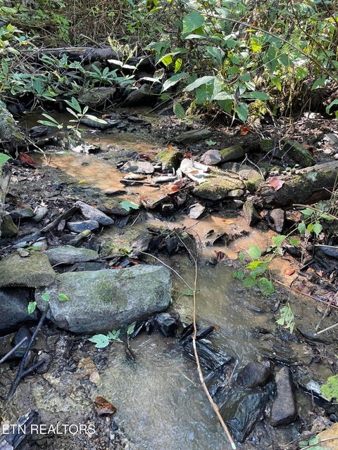 Tiny photo for 1032 Deep Hollow Rd, Gatlinburg, TN 37738 (MLS # 1356283)