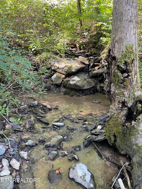 Tiny photo for 1032 Deep Hollow Rd, Gatlinburg, TN 37738 (MLS # 1356283)