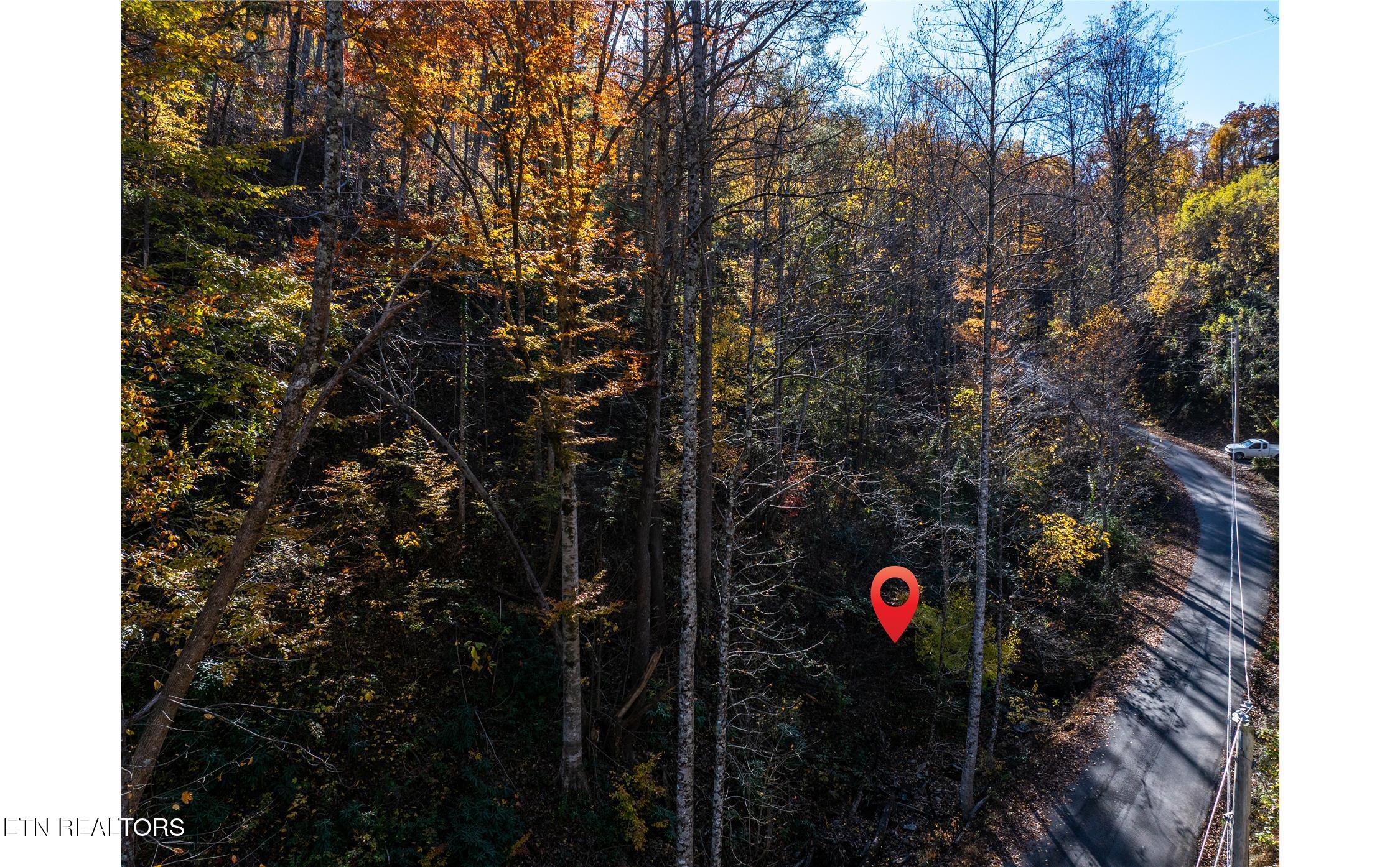 1032 Deep Hollow Rd