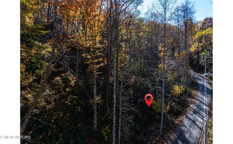 Tiny photo for 1032 Deep Hollow Rd, Gatlinburg, TN 37738 (MLS # 1356283)