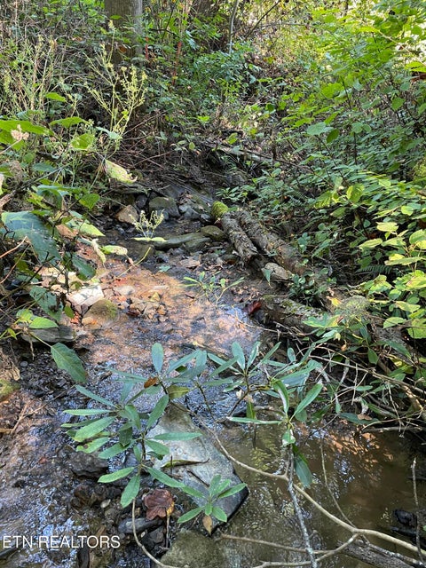Tiny photo for 1032 Deep Hollow Rd, Gatlinburg, TN 37738 (MLS # 1356283)