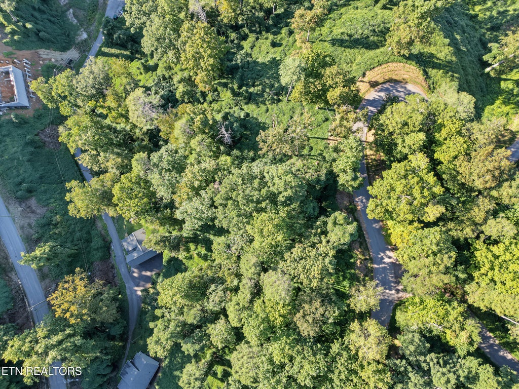 Photo of 14 Davenport Rd, Gatlinburg, TN 37738 (MLS # 1356914)
