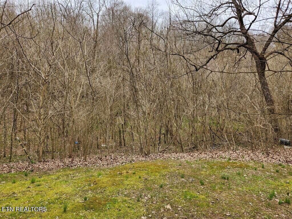 Photo of 3156 Old Lowes Ferry Rd, Louisville, TN 37777 (MLS # 1252707)