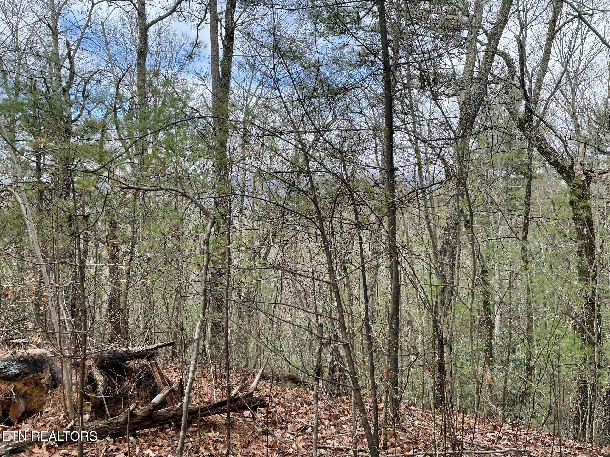 TBD Walnut Flats Rd