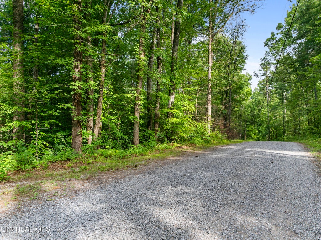 Photo of TBD Walnut Flats Rd, Walland, TN 37886 (MLS # 1355387)