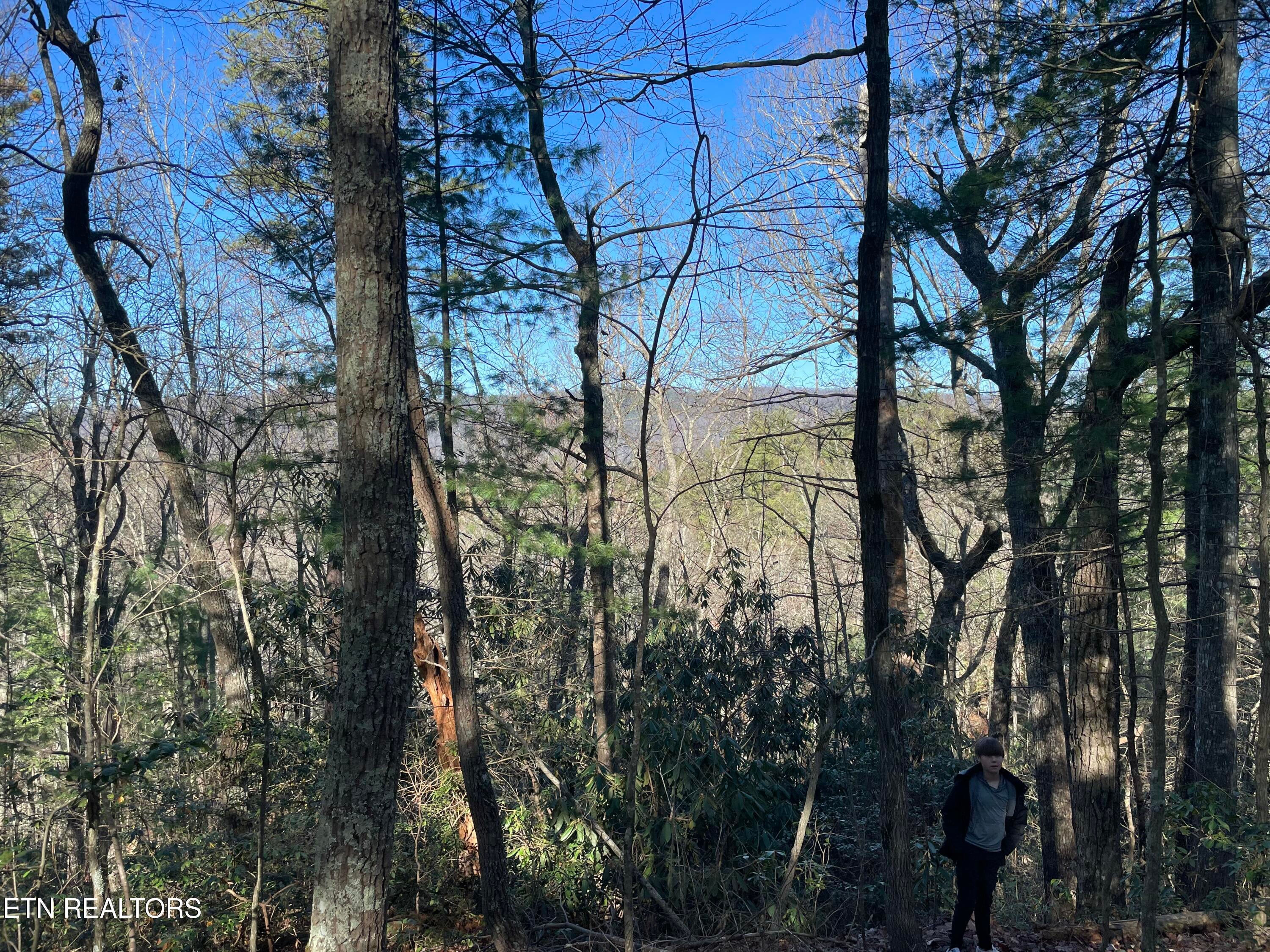 TBD Walnut Flats Rd