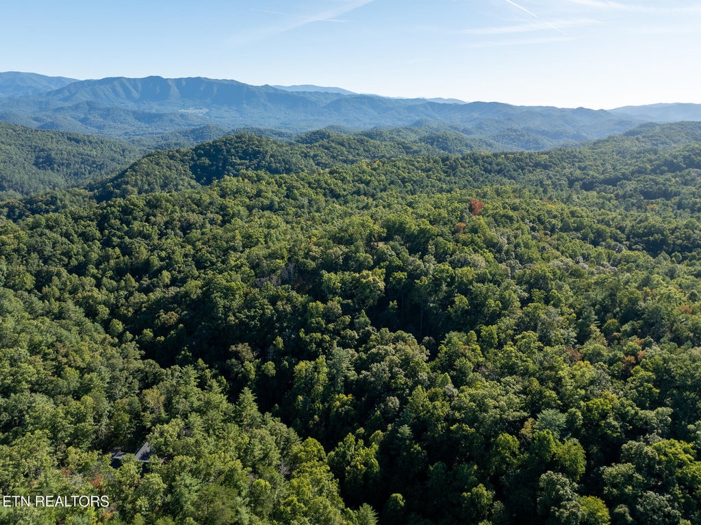 Photo of TBD Walnut Flats Rd, Walland, TN 37886 (MLS # 1355387)