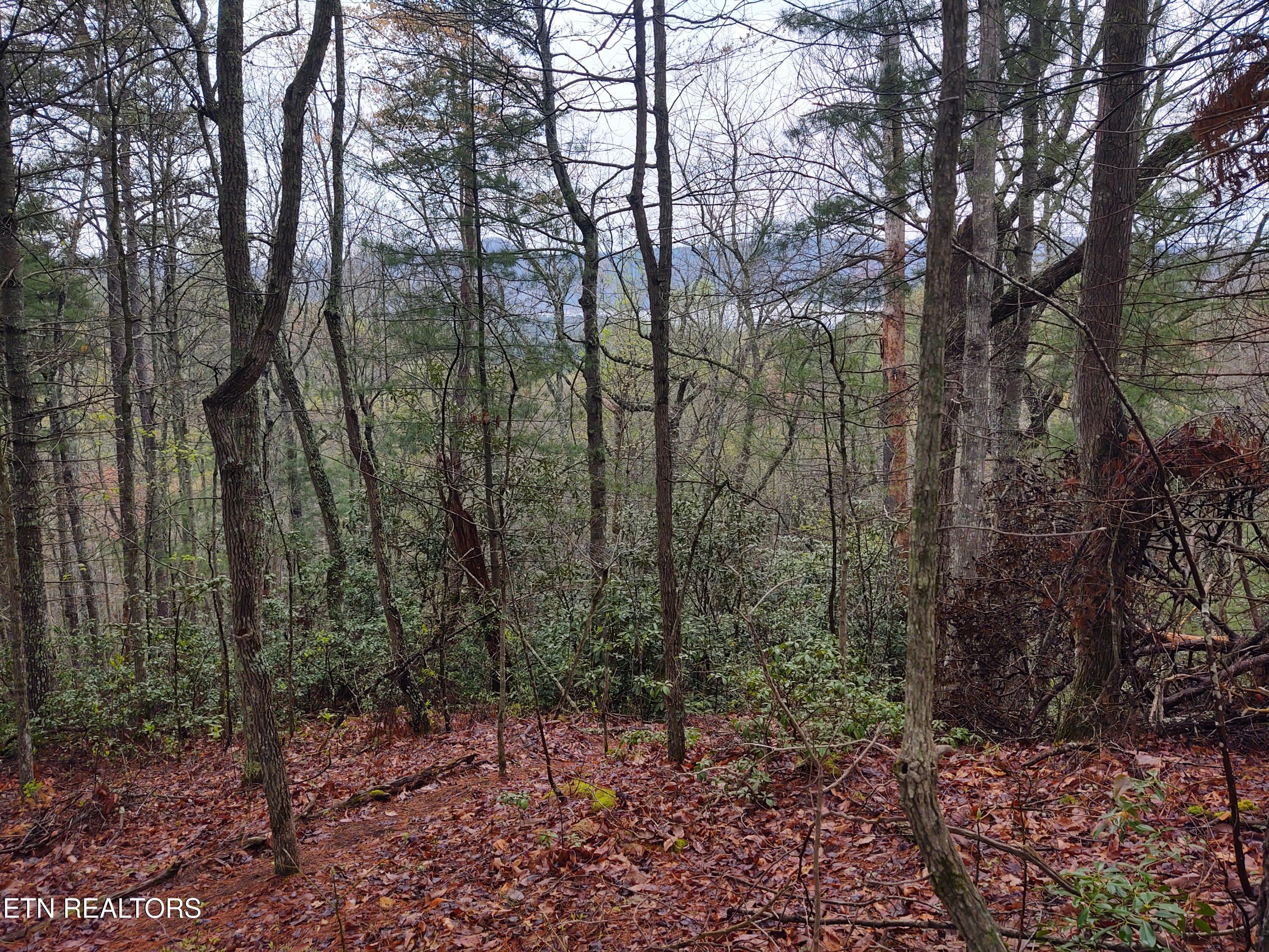 TBD Walnut Flats Rd
