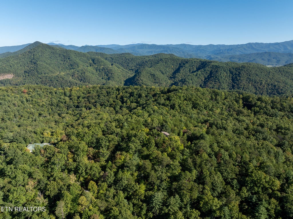 Photo of TBD Walnut Flats Rd, Walland, TN 37886 (MLS # 1355387)