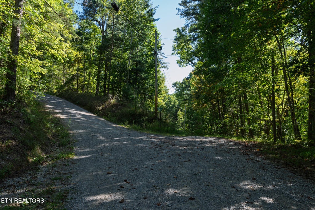 Photo of TBD Walnut Flats Rd, Walland, TN 37886 (MLS # 1355387)