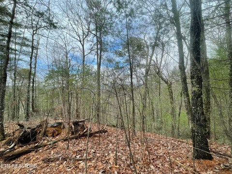 Photo of TBD Walnut Flats Rd, Walland, TN 37886 (MLS # 1355387)