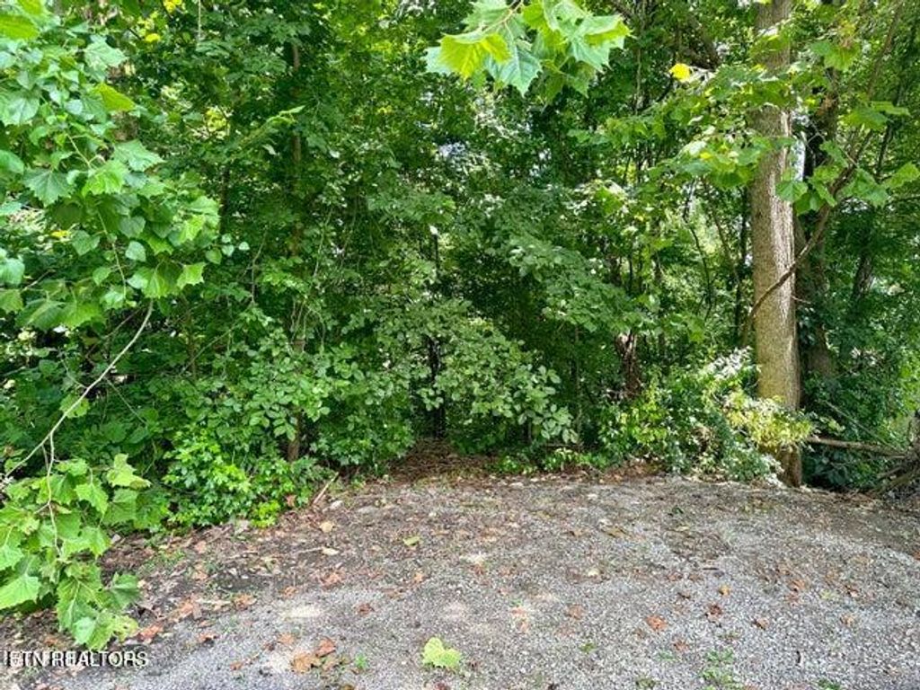 Photo of Rosemont Lane, Harriman, TN 37748 (MLS # 1279277)