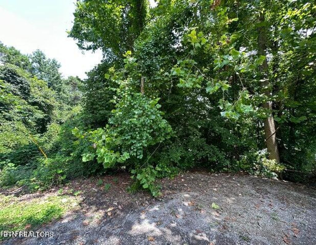 Photo of Rosemont Lane, Harriman, TN 37748 (MLS # 1279277)