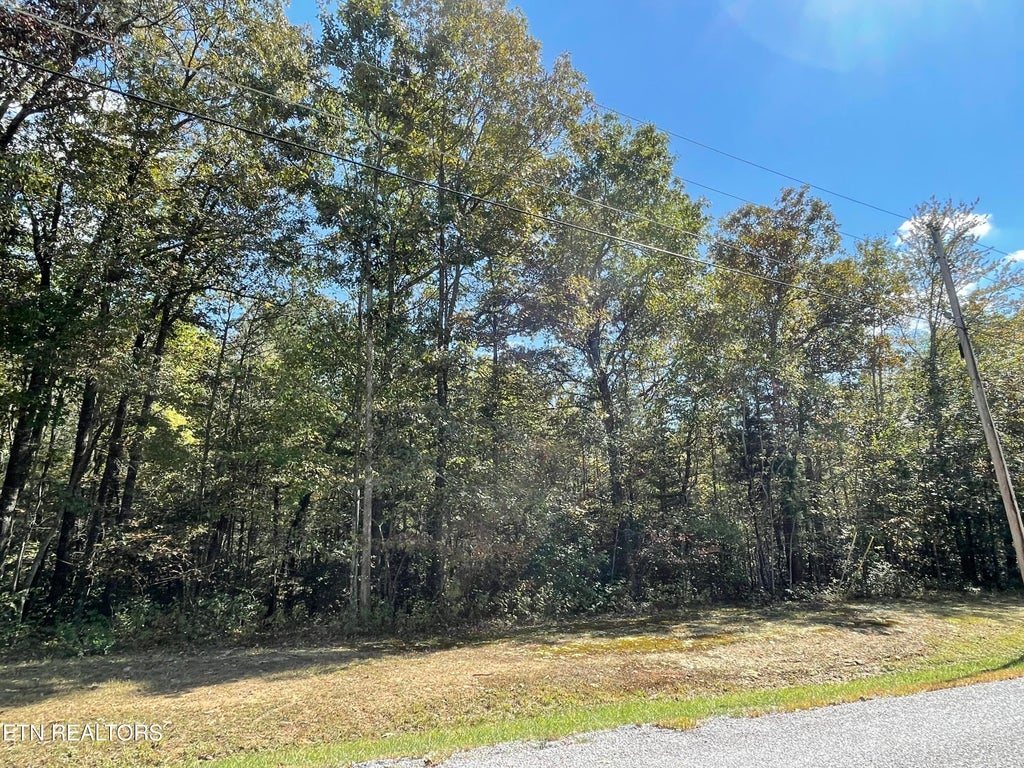 Photo of 130 Stillington Loop, Crossville, TN 38558 (MLS # 1345525)