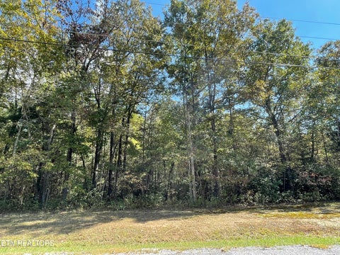 Photo of 130 Stillington Loop, Crossville, TN 38558 (MLS # 1345525)