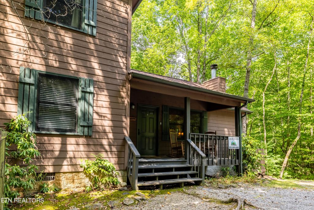 Photo of 525 Reeds Way, Townsend, TN 37882 (MLS # 1270142)