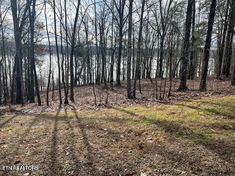 E Shore lot 117 Drive Rockwood TN 37854
