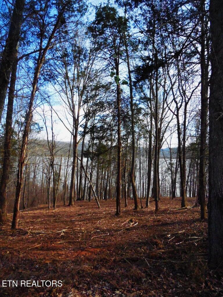 E Shore lot 117 Drive