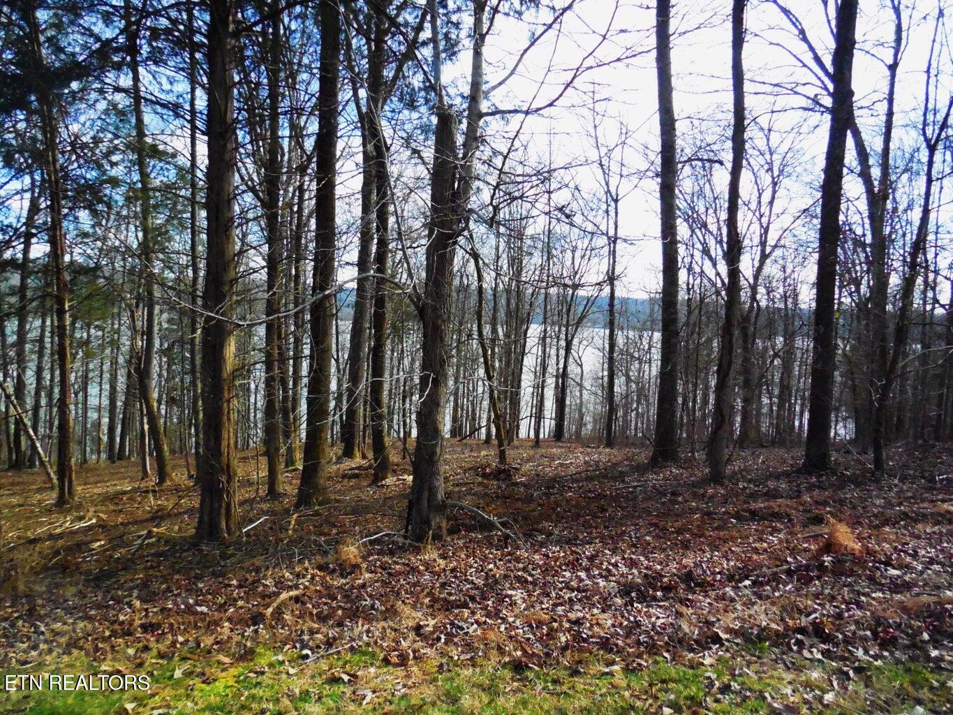 E Shore lot 117 Drive