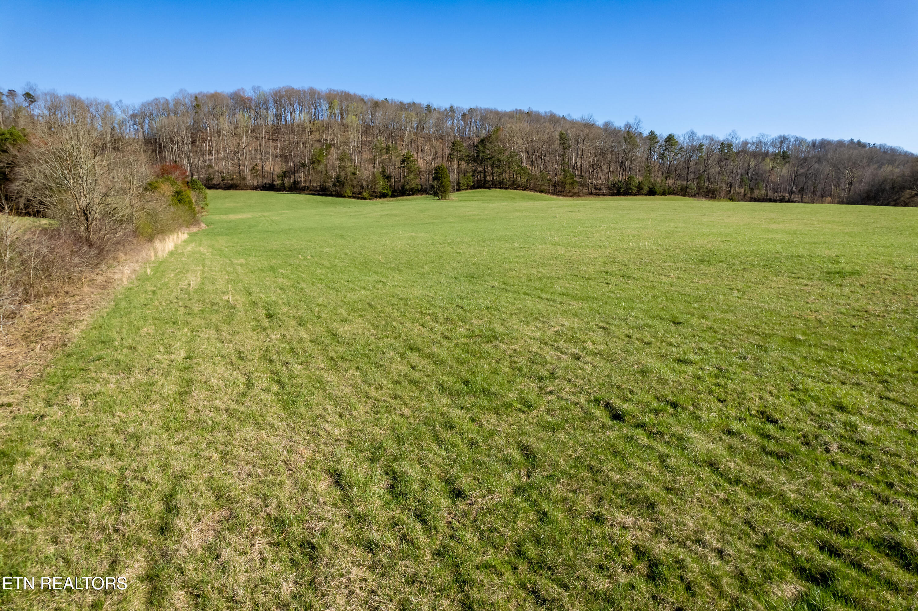 1311 Paint Rock Valley Rd
