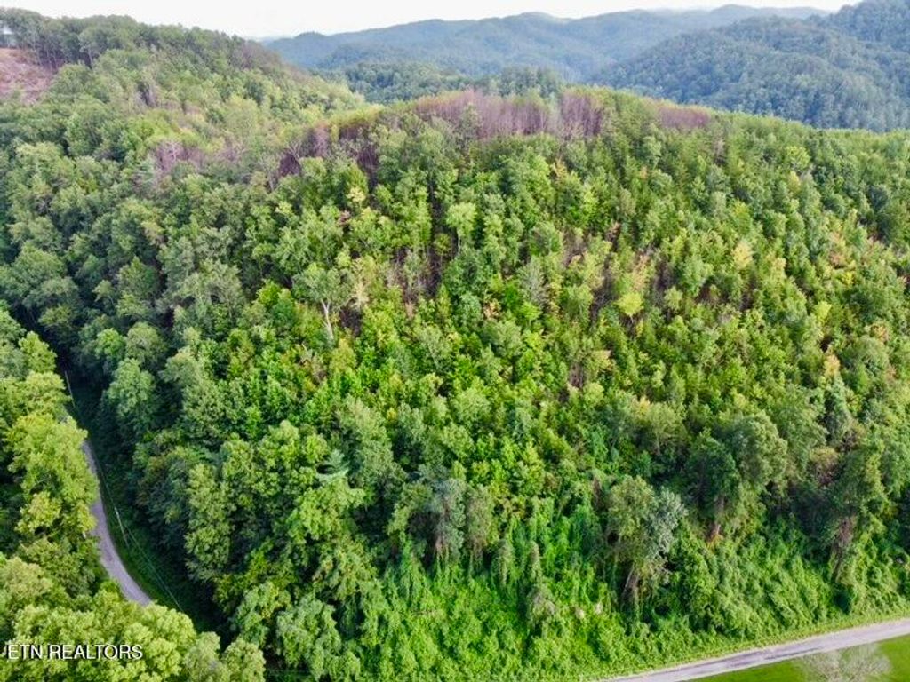 Photo of 0 Lake Heights Rd, Tellico Plains, TN 37385 (MLS # 1310060)
