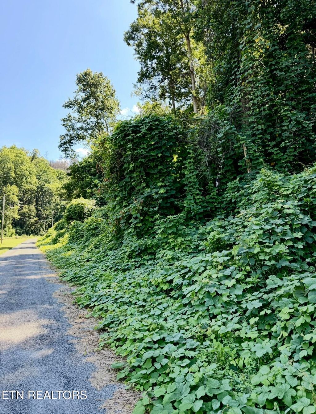 Photo of 0 Lake Heights Rd, Tellico Plains, TN 37385 (MLS # 1310060)