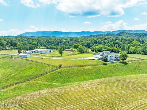 Photo of 1531 Ellejoy Rd, Seymour, TN 37865 (MLS # 1319434)