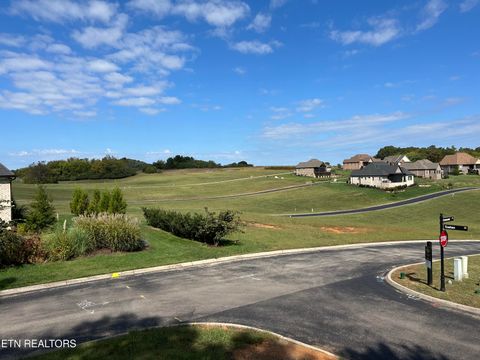 Tiny photo for 170 Starling Drive, Vonore, TN 37885 (MLS # 1318222)
