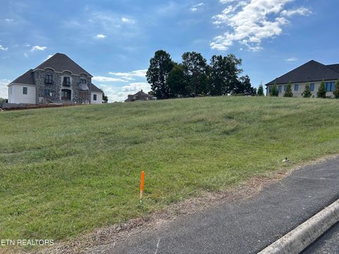 Tiny photo for 170 Starling Drive, Vonore, TN 37885 (MLS # 1318222)