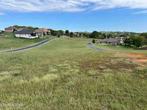 Tiny photo for 170 Starling Drive, Vonore, TN 37885 (MLS # 1318222)