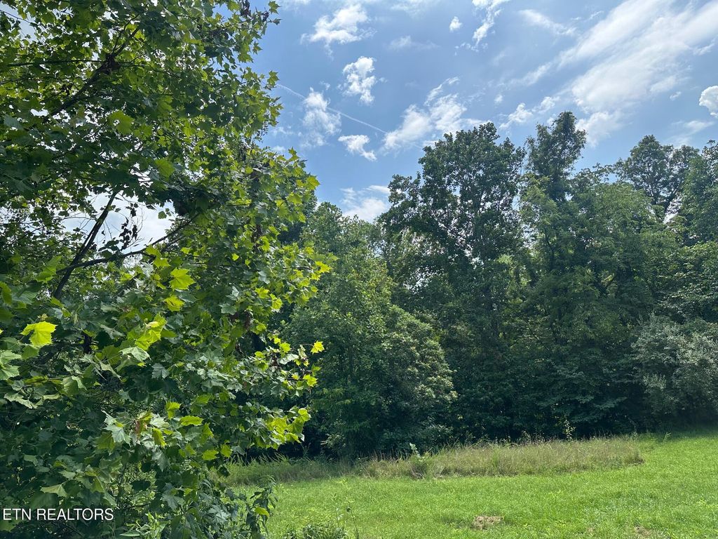 Photo of 233 Watkins Lane, Jacksboro, TN 37757 (MLS # 1310508)
