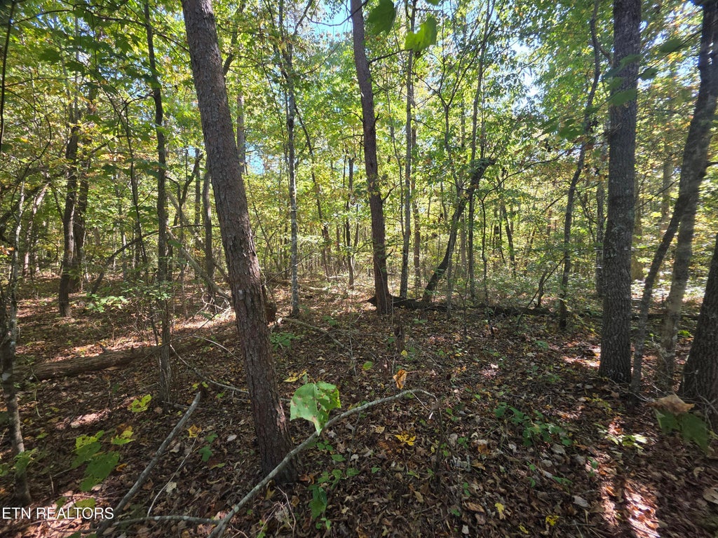 Photo of 6 Cumberland Lakes Drive, Monterey, TN 38574 (MLS # 1357818)