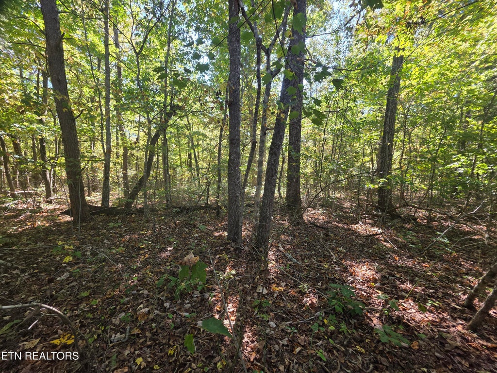 Photo of 6 Cumberland Lakes Drive, Monterey, TN 38574 (MLS # 1357818)