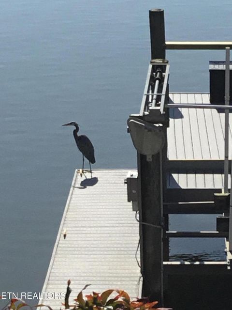 Tiny photo for 3466 Navigator Point, Knoxville, TN 37922 (MLS # 1334451)