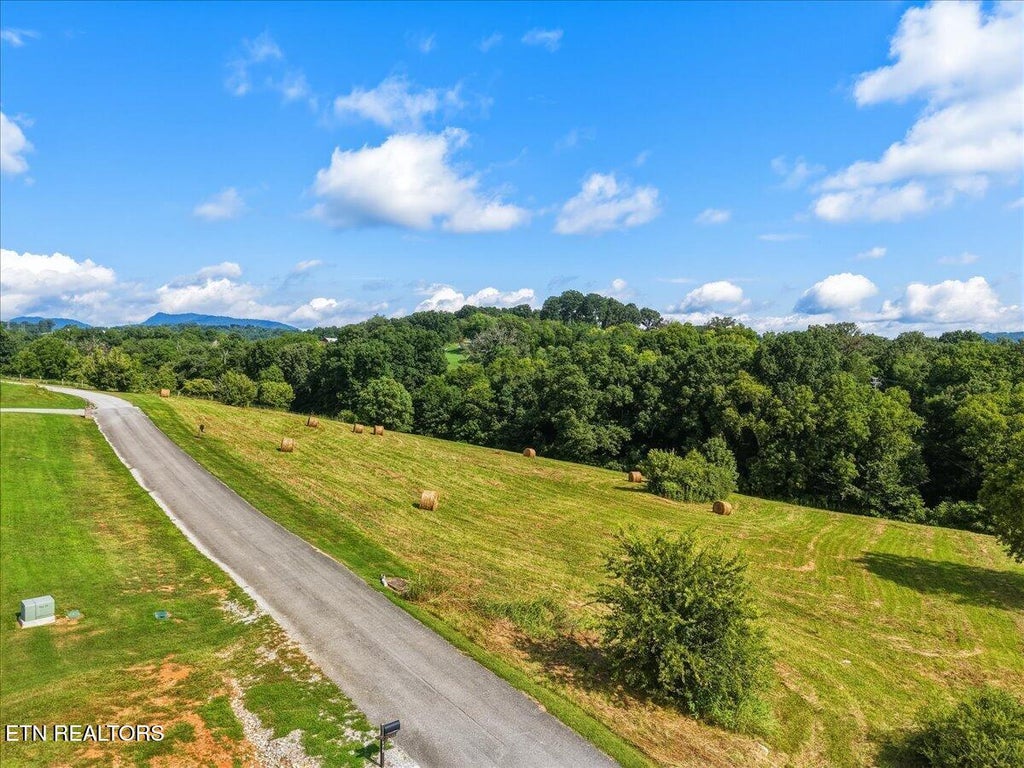 Photo of Park View Drive, Blaine, TN 37709 (MLS # 1351280)