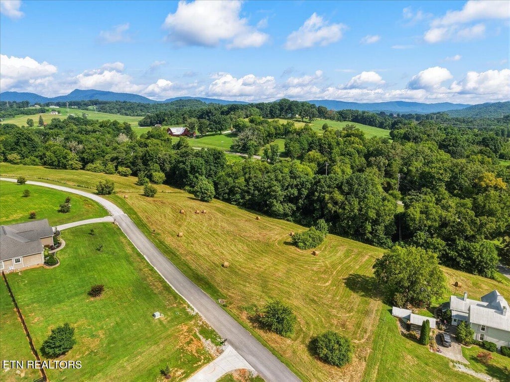 Photo of Park View Drive, Blaine, TN 37709 (MLS # 1351280)